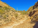 photo thumbnail #2
