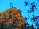 photo thumbnail #7