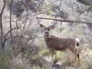 photo thumbnail #9