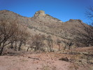photo thumbnail #5