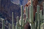 photo thumbnail #3