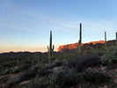 photo thumbnail #1