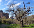 photo thumbnail #5