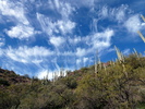 photo thumbnail #8