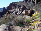 photo thumbnail #14