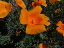 photo thumbnail #15