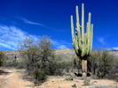 photo thumbnail #4