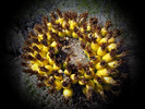 photo thumbnail #13
