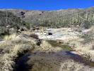 photo thumbnail #14
