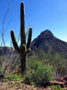 photo thumbnail #7