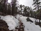 photo thumbnail #6