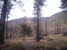 photo thumbnail #1