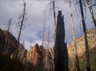 photo thumbnail #4
