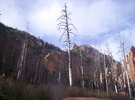photo thumbnail #6