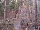 photo thumbnail #7