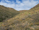 photo thumbnail #6