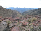 photo thumbnail #7