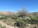 photo thumbnail #14