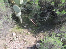 photo thumbnail #15
