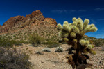photo thumbnail #6