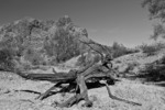 photo thumbnail #10