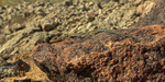 photo thumbnail #13