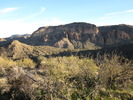 photo thumbnail #3