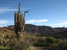 photo thumbnail #8