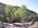 photo thumbnail #8