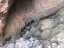 photo thumbnail #4