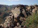 photo thumbnail #4