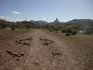 photo thumbnail #6