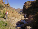 photo thumbnail #12