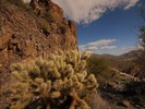 photo thumbnail #4