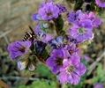 photo thumbnail #11