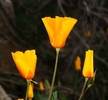photo thumbnail #14