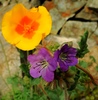 photo thumbnail #15