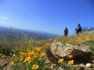photo thumbnail #1