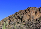 photo thumbnail #2