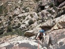 photo thumbnail #5