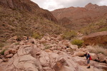 photo thumbnail #6