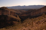 photo thumbnail #4