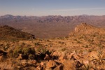 photo thumbnail #4