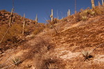 photo thumbnail #5
