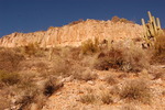 photo thumbnail #14