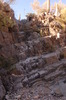 photo thumbnail #15