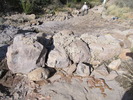 photo thumbnail #1