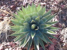 photo thumbnail #6
