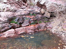 photo thumbnail #9