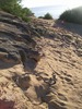 photo thumbnail #11
